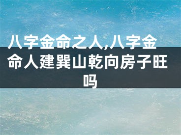 八字金命之人,八字金命人建巽山乾向房子旺吗