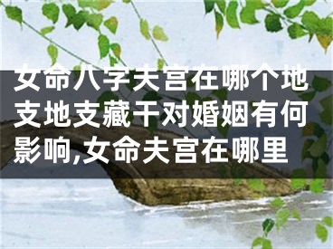 女命八字夫宫在哪个地支地支藏干对婚姻有何影响,女命夫宫在哪里