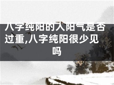 八字纯阳的人阳气是否过重,八字纯阳很少见吗
