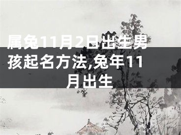 属兔11月2日出生男孩起名方法,兔年11月出生