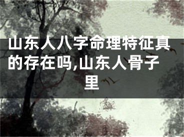 山东人八字命理特征真的存在吗,山东人骨子里