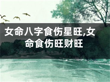 女命八字食伤星旺,女命食伤旺财旺