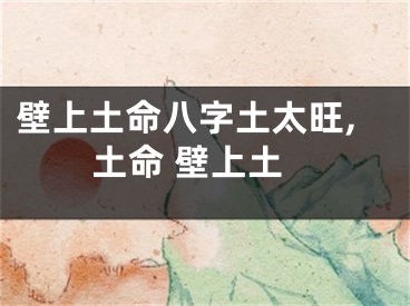 壁上土命八字土太旺,土命 壁上土