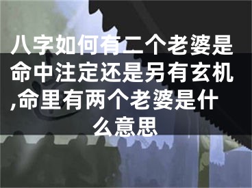八字如何有二个老婆是命中注定还是另有玄机,命里有两个老婆是什么意思