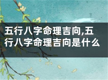 五行八字命理吉向,五行八字命理吉向是什么