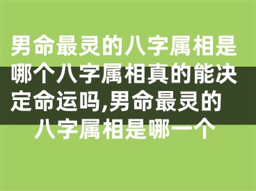 男命最灵的八字属相是哪个八字属相真的能决定命运吗,男命最灵的八字属相是哪一个