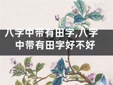 八字中带有田字,八字中带有田字好不好