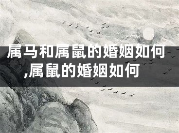 属马和属鼠的婚姻如何,属鼠的婚姻如何