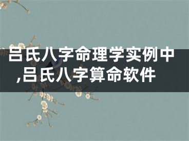 吕氏八字命理学实例中,吕氏八字算命软件