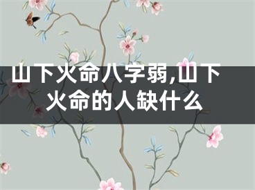 山下火命八字弱,山下火命的人缺什么