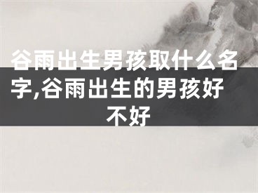谷雨出生男孩取什么名字,谷雨出生的男孩好不好