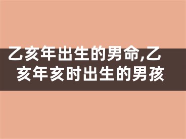 乙亥年出生的男命,乙亥年亥时出生的男孩