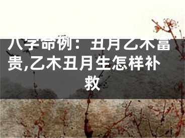 八字命例：丑月乙木富贵,乙木丑月生怎样补救