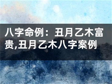 八字命例：丑月乙木富贵,丑月乙木八字案例
