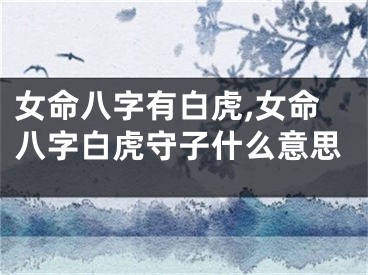 女命八字有白虎,女命八字白虎守子什么意思
