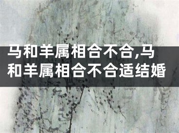 马和羊属相合不合,马和羊属相合不合适结婚