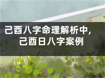 己酉八字命理解析中,己酉日八字案例