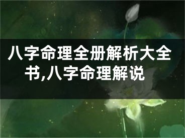 八字命理全册解析大全书,八字命理解说