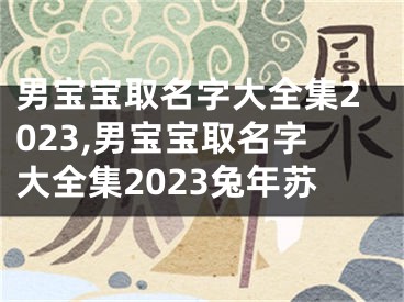 男宝宝取名字大全集2023,男宝宝取名字大全集2023兔年苏