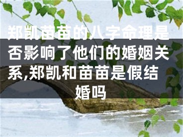 郑凯苗苗的八字命理是否影响了他们的婚姻关系,郑凯和苗苗是假结婚吗