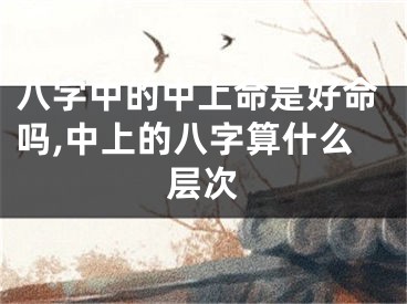 八字中的中上命是好命吗,中上的八字算什么层次