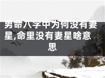 男命八字中为何没有妻星,命里没有妻星啥意思