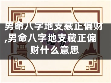 男命八字地支藏正偏财,男命八字地支藏正偏财什么意思