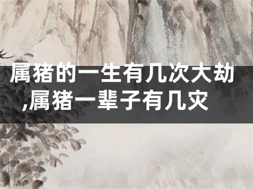 属猪的一生有几次大劫,属猪一辈子有几灾