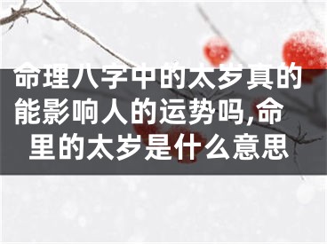 命理八字中的太岁真的能影响人的运势吗,命里的太岁是什么意思