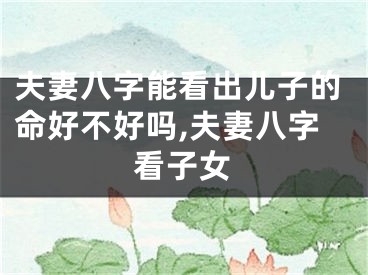 夫妻八字能看出儿子的命好不好吗,夫妻八字看子女