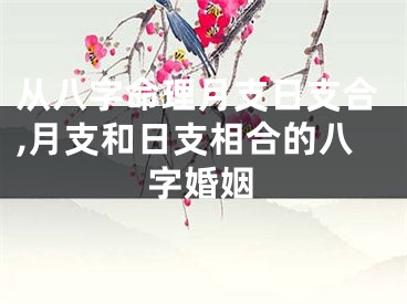 从八字命理月支日支合,月支和日支相合的八字婚姻