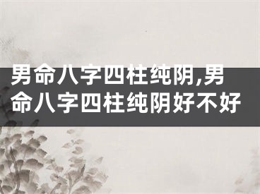 男命八字四柱纯阴,男命八字四柱纯阴好不好