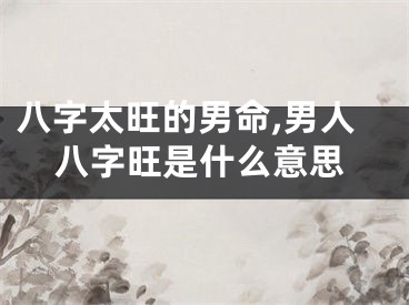八字太旺的男命,男人八字旺是什么意思