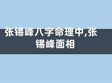 张锡峰八字命理中,张锡峰面相