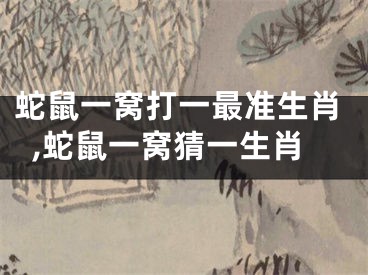 蛇鼠一窝打一最准生肖,蛇鼠一窝猜一生肖