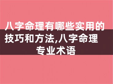 八字命理有哪些实用的技巧和方法,八字命理专业术语