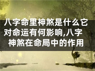 八字命里神煞是什么它对命运有何影响,八字神煞在命局中的作用