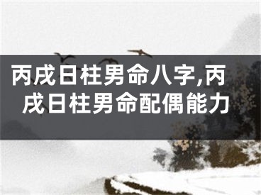 丙戌日柱男命八字,丙戌日柱男命配偶能力