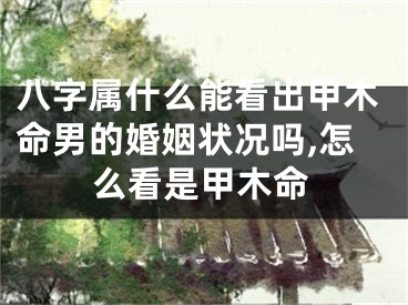 八字属什么能看出甲木命男的婚姻状况吗,怎么看是甲木命