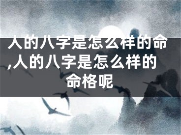 人的八字是怎么样的命,人的八字是怎么样的命格呢