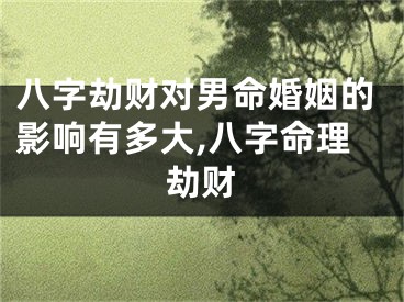 八字劫财对男命婚姻的影响有多大,八字命理劫财