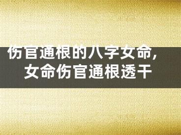 伤官通根的八字女命,女命伤官通根透干