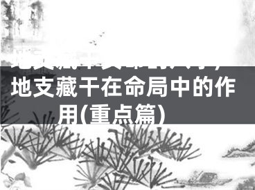 地支藏干女命的八字,地支藏干在命局中的作用(重点篇)