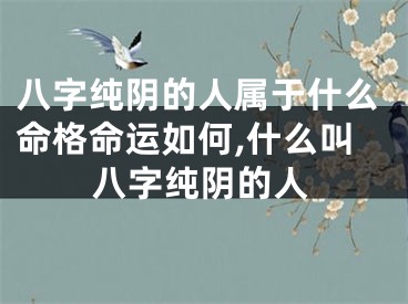 八字纯阴的人属于什么命格命运如何,什么叫八字纯阴的人