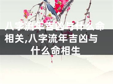 八字流年吉凶与什么命相关,八字流年吉凶与什么命相生