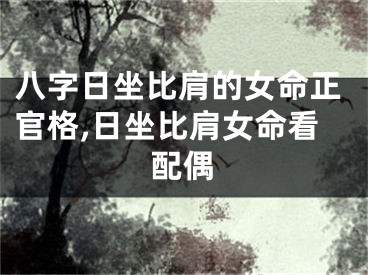 八字日坐比肩的女命正官格,日坐比肩女命看配偶