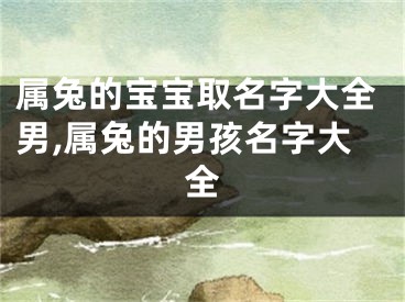 属兔的宝宝取名字大全男,属兔的男孩名字大全