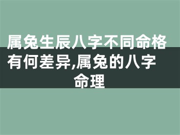 属兔生辰八字不同命格有何差异,属兔的八字命理