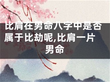 比肩在男命八字中是否属于比劫呢,比肩一片男命