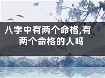 八字中有两个命格,有两个命格的人吗